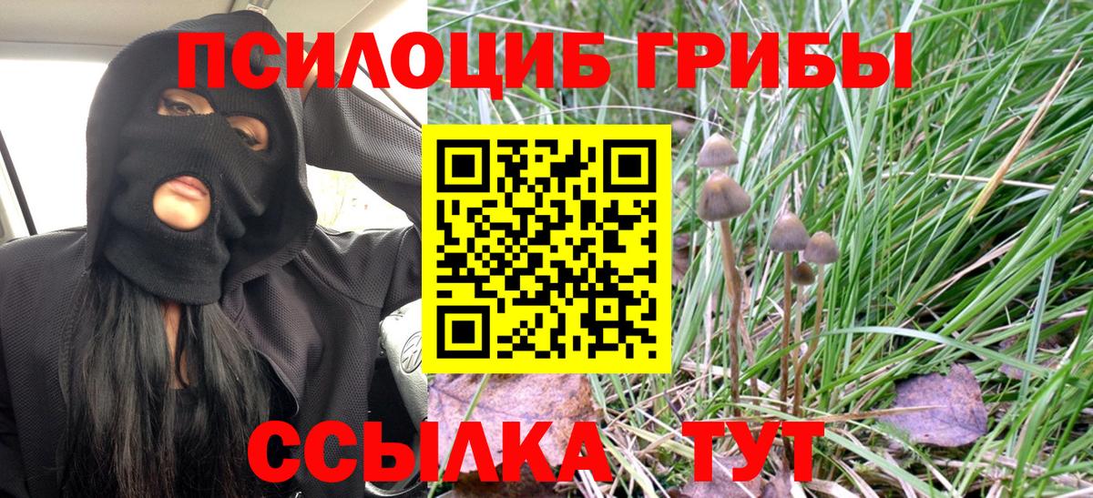 Псилоцибиновые грибы прущие грибы Александров