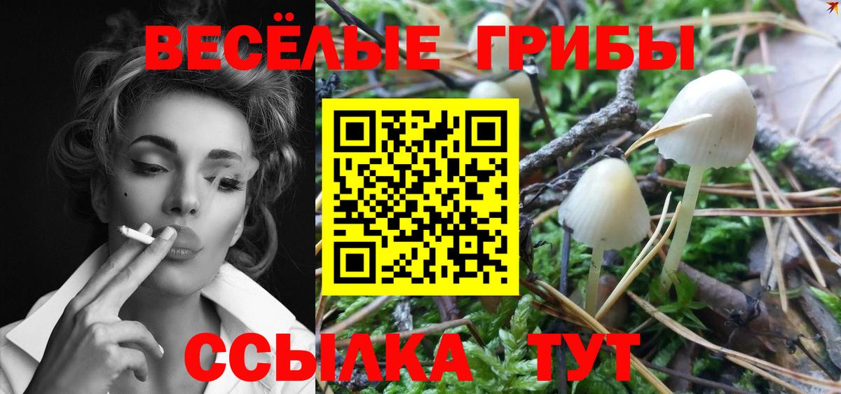 Галлюциногенные грибы мицелий  Псилоцибиновые грибы ЛСД  Александров  Вход с VPN 